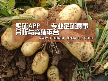 种植基地六