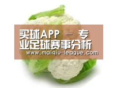 产品名称九