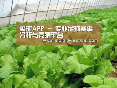 种植基地一