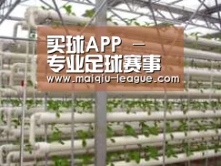 环境展示六