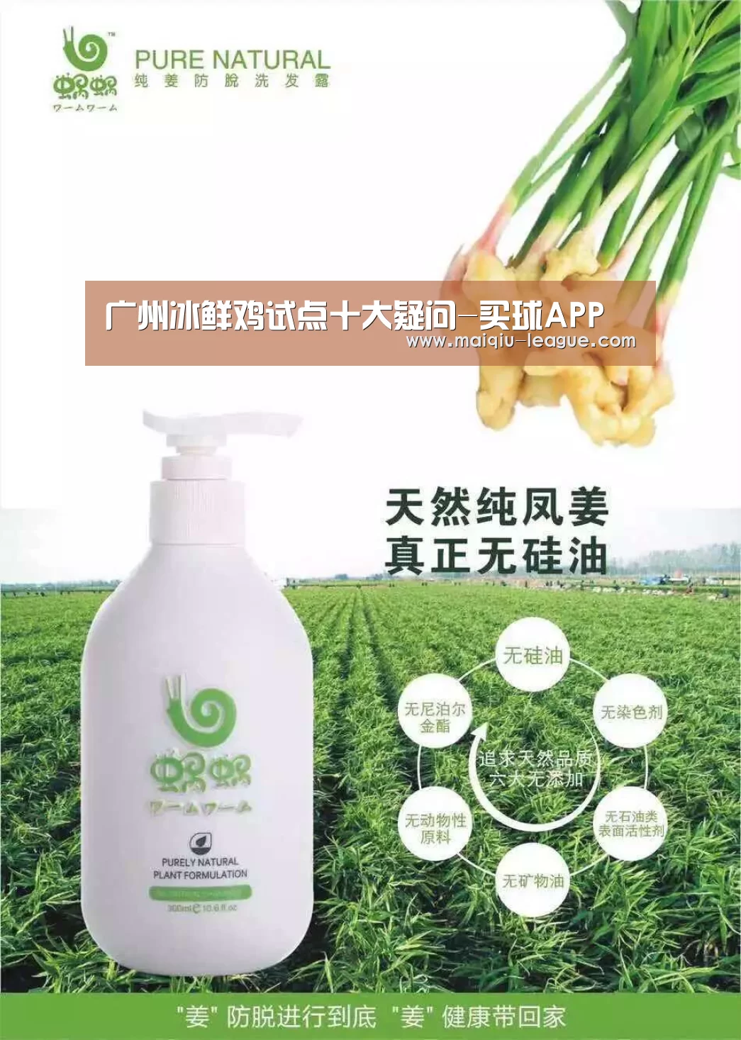 广州冰鲜鸡试点十大疑问-买球APP(图4) 在线投注