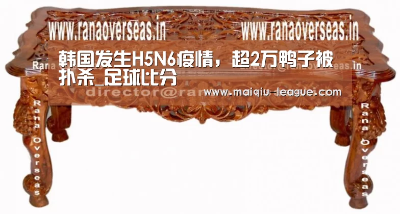 韩国发生H5N6疫情,超2万鸭子被扑杀_足球比分(图1) 在线投注